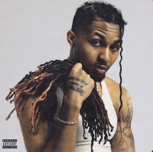 cover art for DDG "blame the chat"